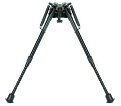 CAL XLA PIVOT BIPD 9-13